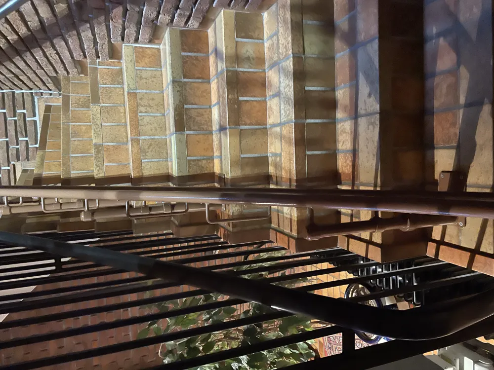 Platinum Platinum Curve v 2.0 neu | Bild 5