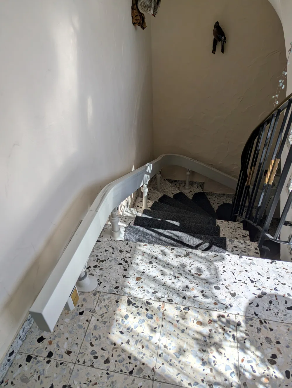 Acorn Curve 180 | Bild 5